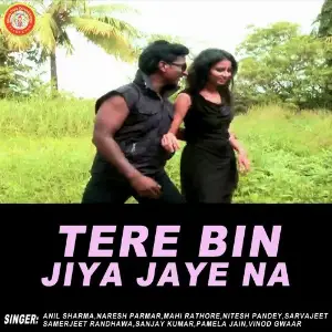 Tere Bin Jiya Jaye Na image