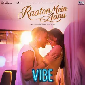 Raaton Mein Aana (From Vibe) image
