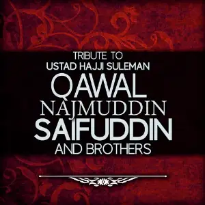 Tribute To Ustad Hajji Suleman image