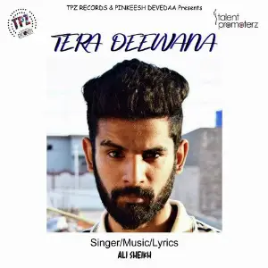 Tera Deewana image