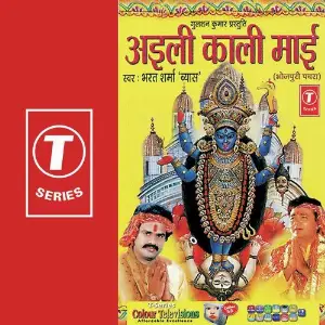 Ayali Kaali Maai image