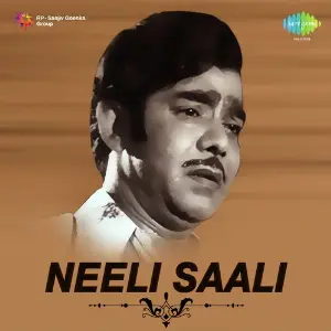 Neeli Saali image