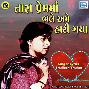Dil No DJ Jagdish Thakor Shailesh Thakor