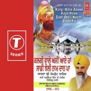 Kalgi Wale Aseen Aaye Haan Sadi Jholi Naam Daan Pa (Vol. 87) image