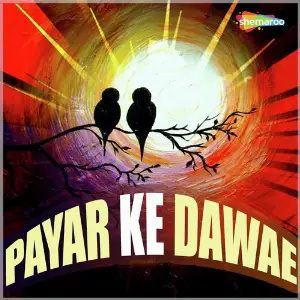 Payar Ke Dawae image