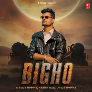 Bigho image