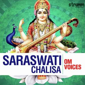 Saraswati Chalisa image