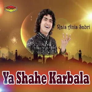 Yaa Shahe Karbala image