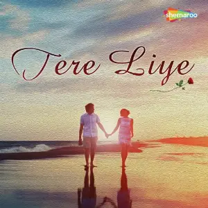 Tere Liye image
