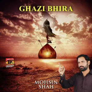 Ghazi Bhira image