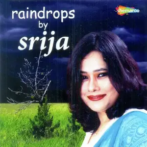 Raindrops By Srija image