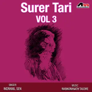 Surer Tari Vol 3 image