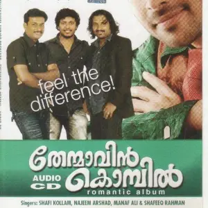 Thenmavinkombil image
