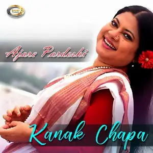 Ajare Pardeshi image