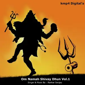 Om Namah Shivay Dhun Vol 1 image