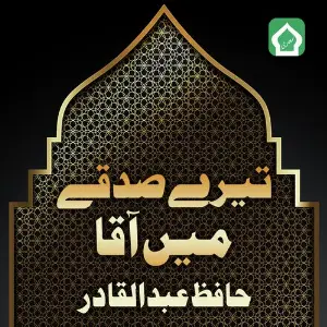 Terey Sadqay Mai Aaqa image