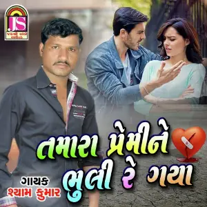 Tamara Prem Ne Bhuli Re Gaya image