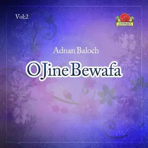 O Jine Bewafa, Vol. 2 image