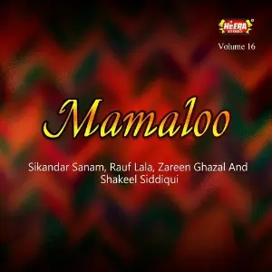 Mamaloo, Vol. 16 image