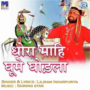 Dhora Mahi Ghume Ghodla image