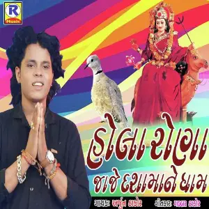 Hola Rona Jaje Dashmane Dham image
