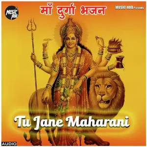 Tu Jane Maharani image