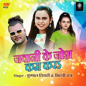 Jawani Ke Josh Kam Karas image