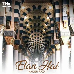 Elan Hai - Single image