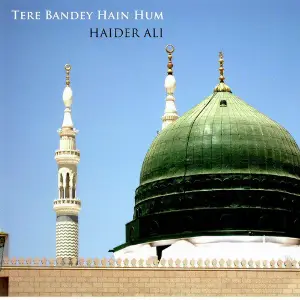 Tere Bandey Hain Hum image