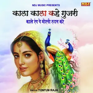 Haryana Ke Chhore Tuntun Raja