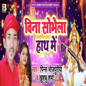 Veena Sobhela Haath Me image