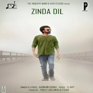 Zinda Dil image