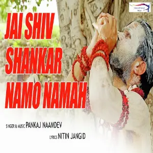 Jai Shiv Shankar Namo Namah image