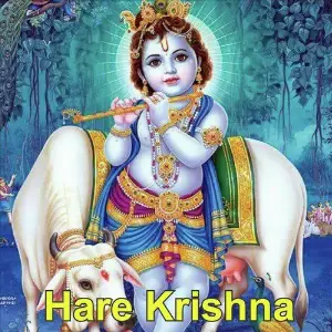 Hare Krishna image