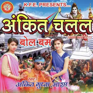 Ankit Chalal Bolbam image