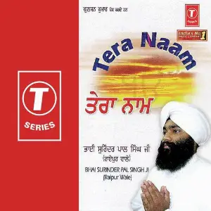 Tere Naam image