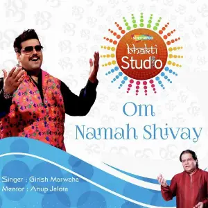 Om Namah Shivay image