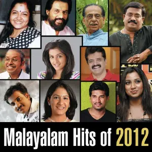 Malayalam Hits Of 2012 image