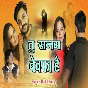 Tu Sanam Bewafa Hai image