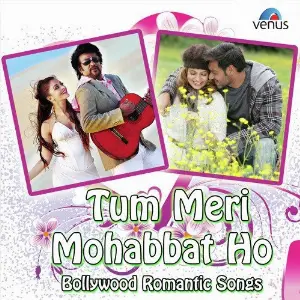 Tum Meri Mohabbat Ho - Bollywood Romantic Songs image