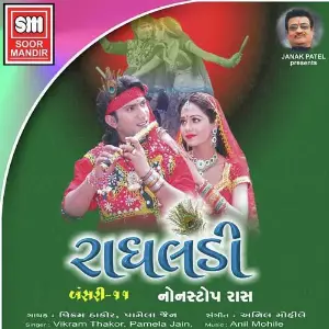 Radhaldi Raas image