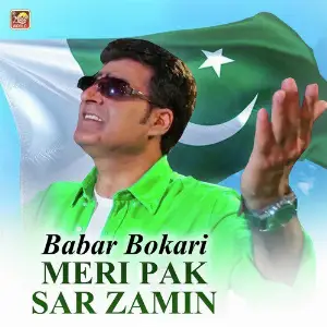 Meri Pak Sar Zamin - Single image