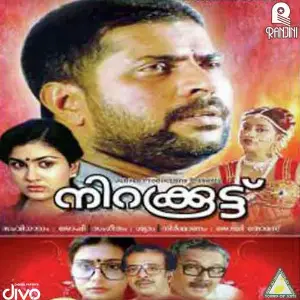 Nirakkoottu image