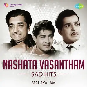 Nashata Vasantham - Sad Hits image