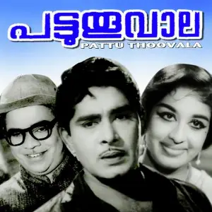 Pattuthuvaala image