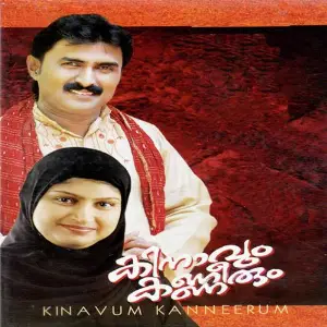 Kinaavum Kanneerum image