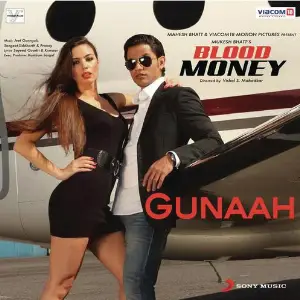 Gunaah (Remix) image
