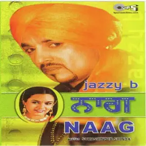 Naag image