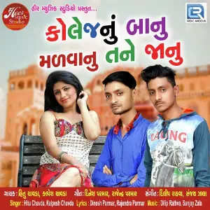 Collage Nu Banu Malva Nu Tane Janu image
