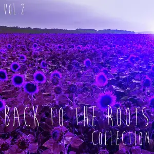 Back to the Roots Collection, Vol. 2 - Selection of Deep House image